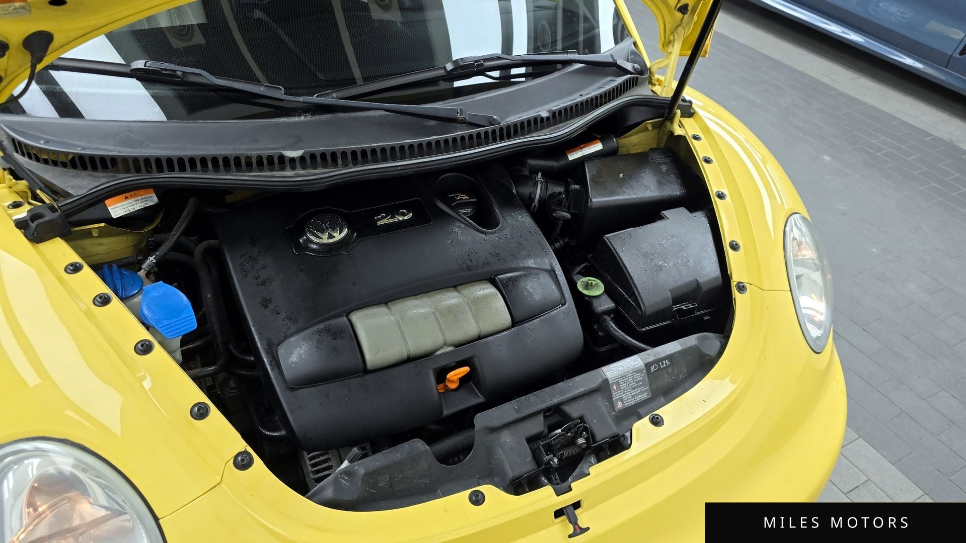 Volkswagen 비틀 2005 — миниатюра 6