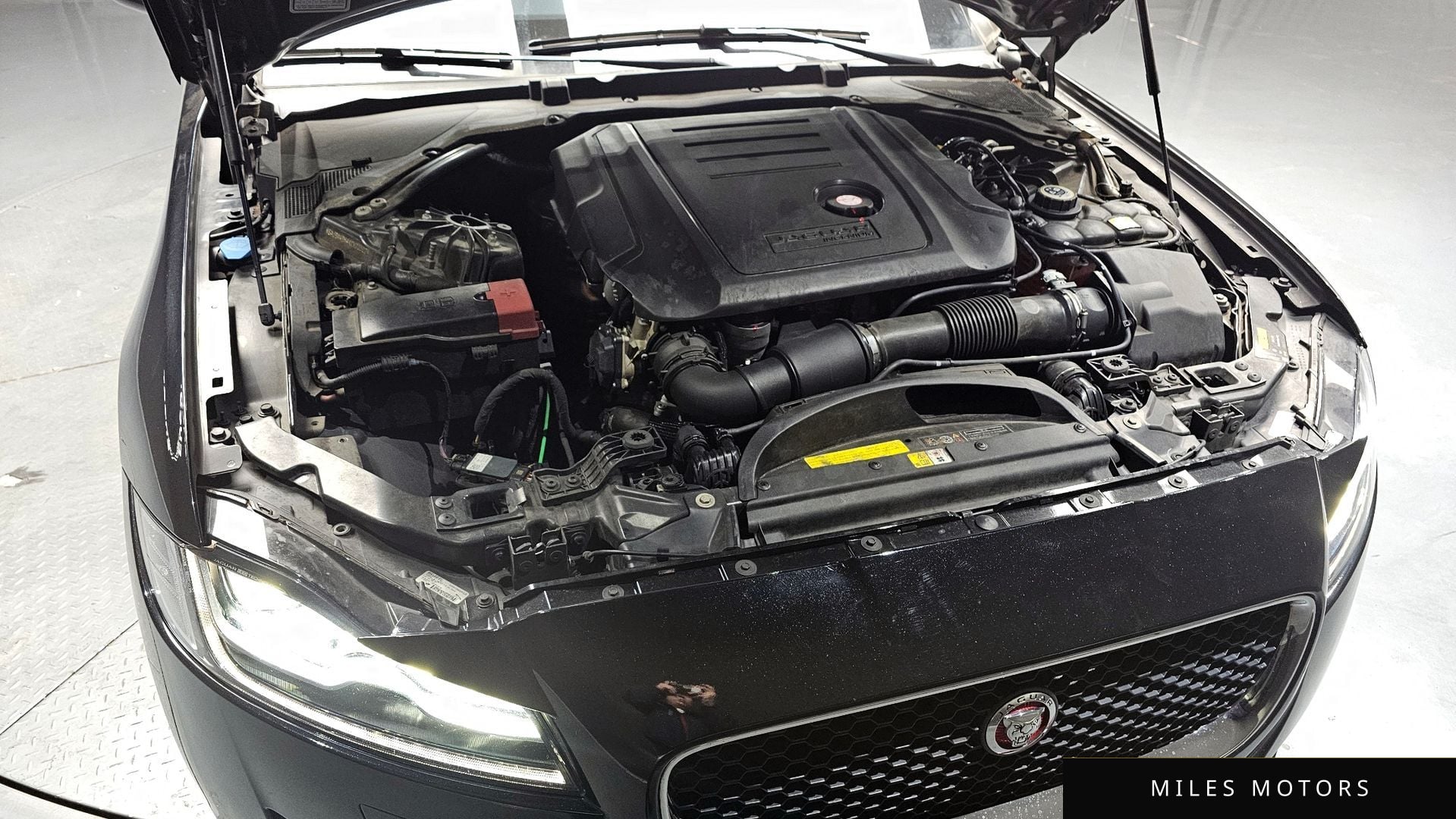 Jaguar XF (X260) 2019 — миниатюра 6