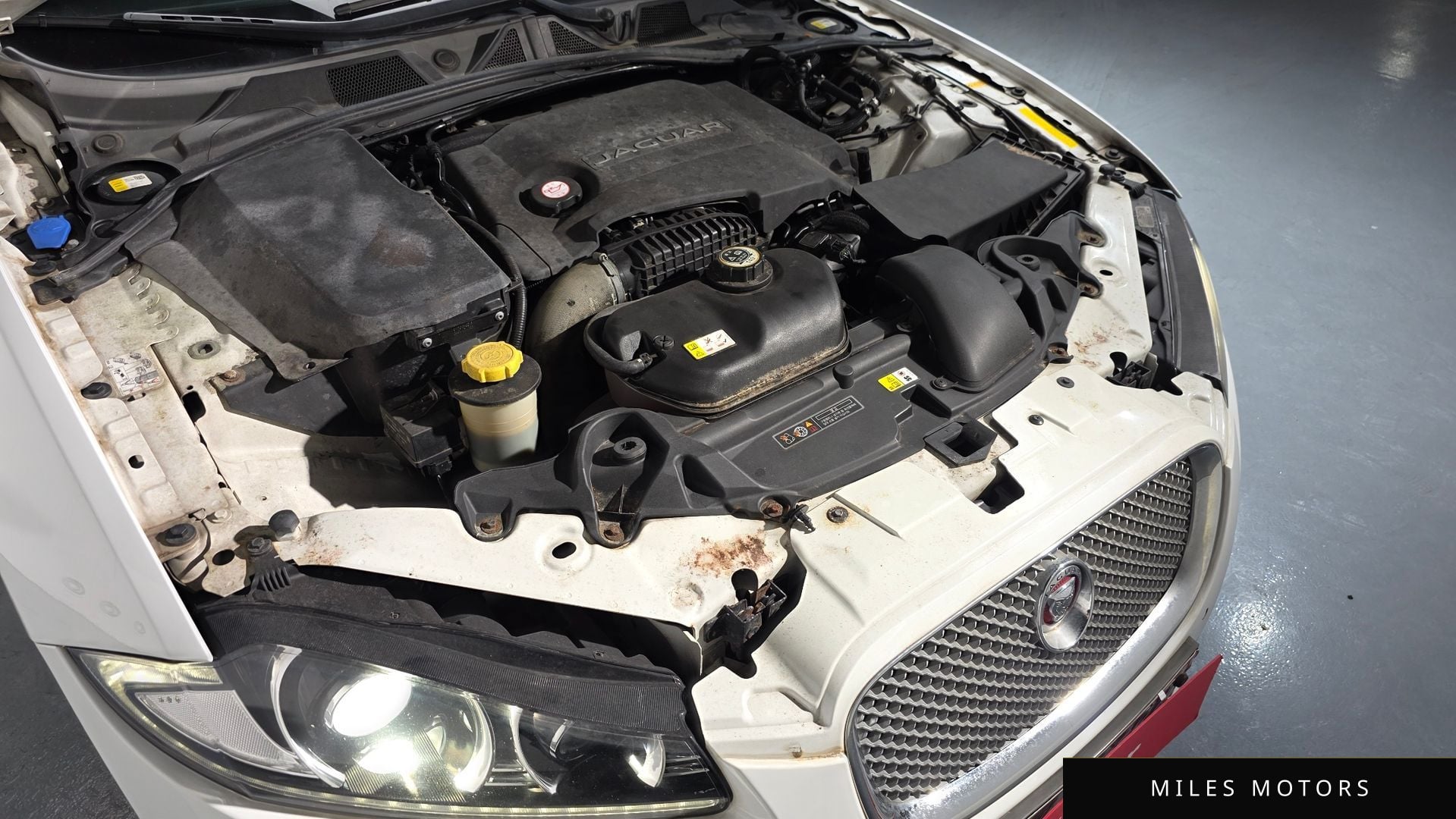 Jaguar New XF 2014 — миниатюра 6