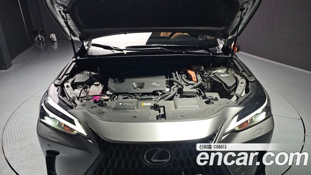 Лексус NX350h 2025 — миниатюра 6