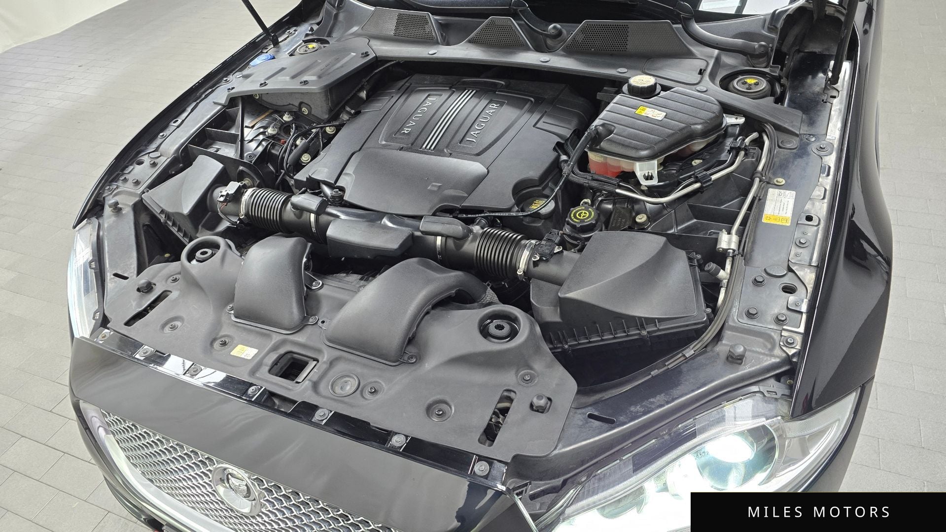 Jaguar All New XJ 2011 — миниатюра 6