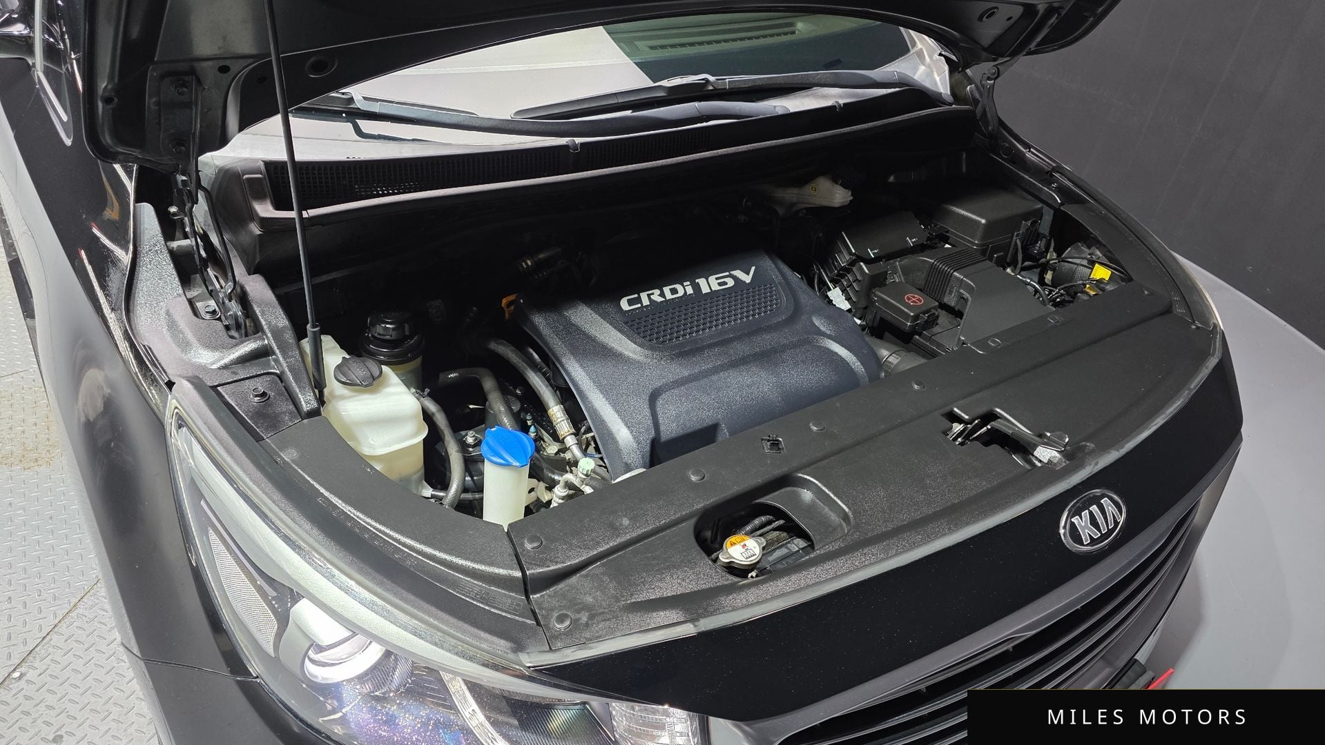 Kia Canival 2016 — миниатюра 6