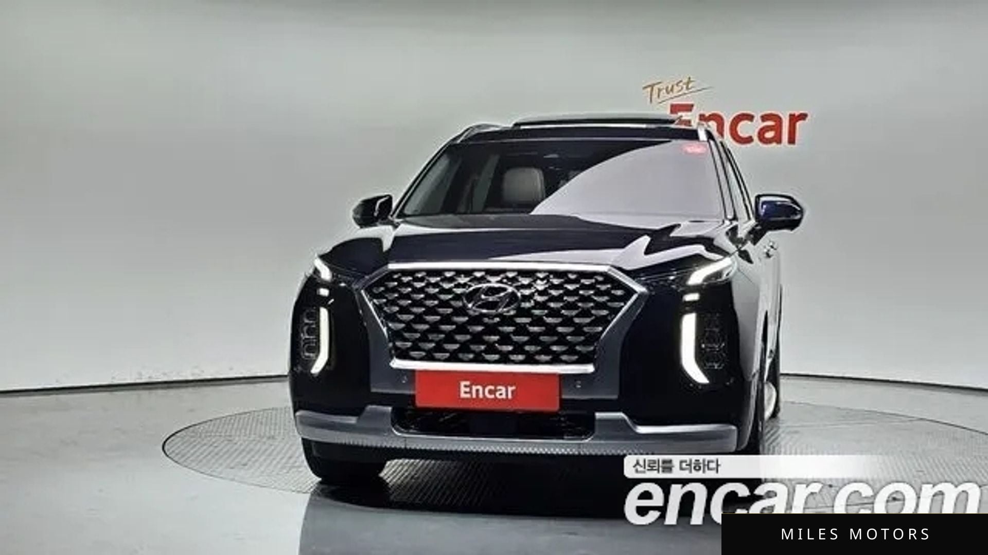 Hyundai Palisade 2021 — миниатюра 3