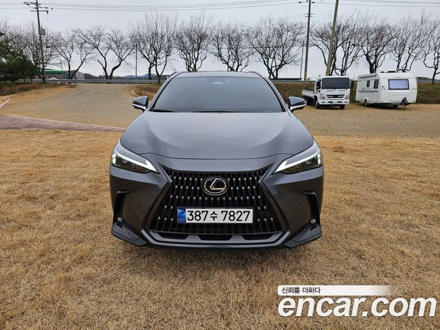 Лексус NX450h+ 2024 — миниатюра 2
