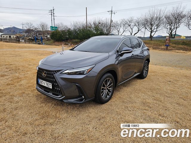 Лексус NX450h+ 2024 — миниатюра 3