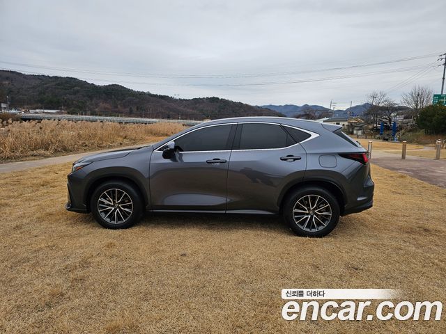 Лексус NX450h+ 2024 — миниатюра 4
