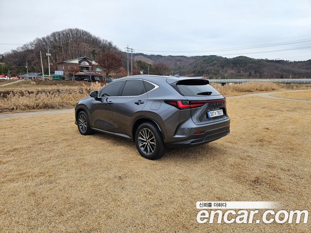 Лексус NX450h+ 2024 — миниатюра 5