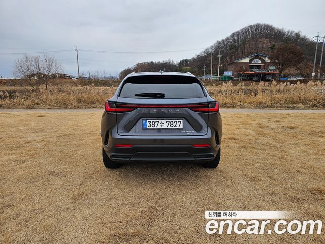 Лексус NX450h+ 2024 — миниатюра 6
