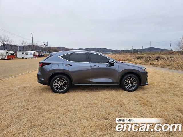 Лексус NX450h+ 2024 — миниатюра 8