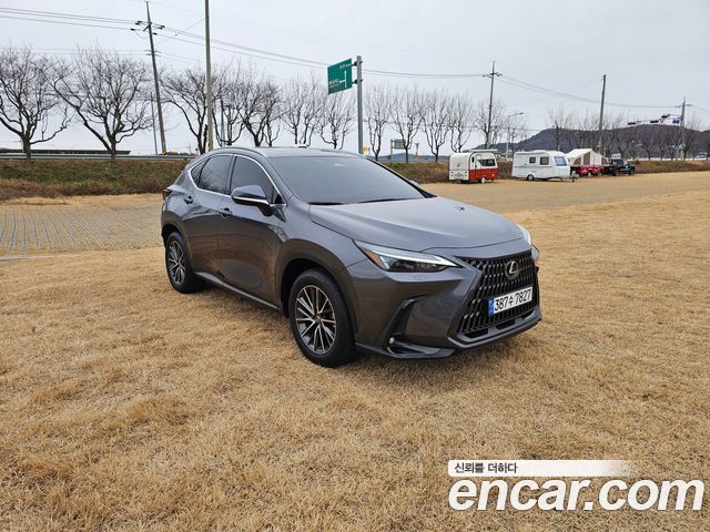 Лексус NX450h+ 2024 — миниатюра 13