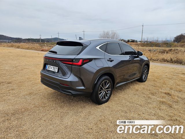 Лексус NX450h+ 2024 — миниатюра 14