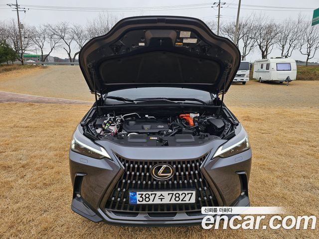 Лексус NX450h+ 2024 — миниатюра 15