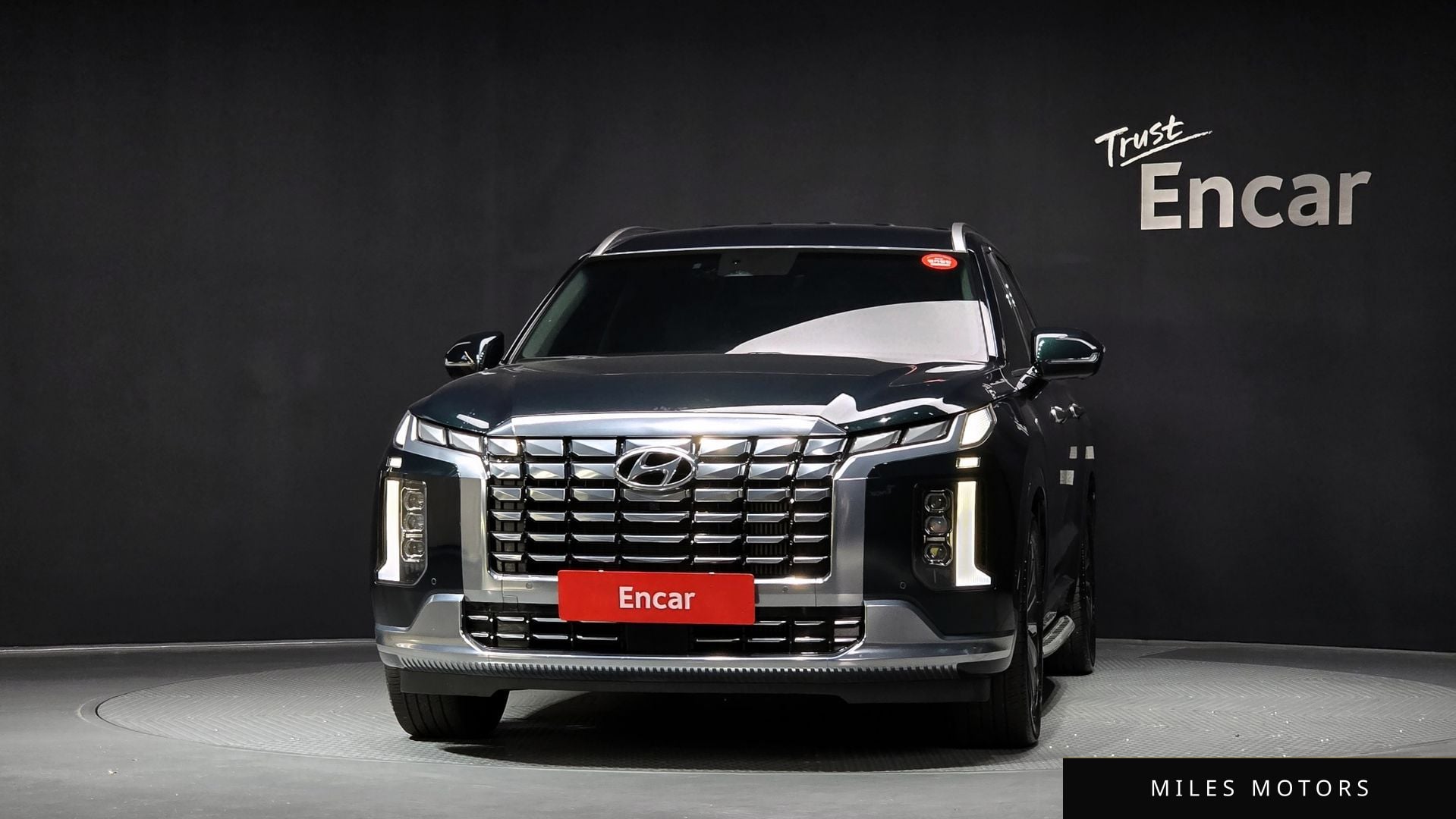 Hyundai Palisade 2024 — миниатюра 3