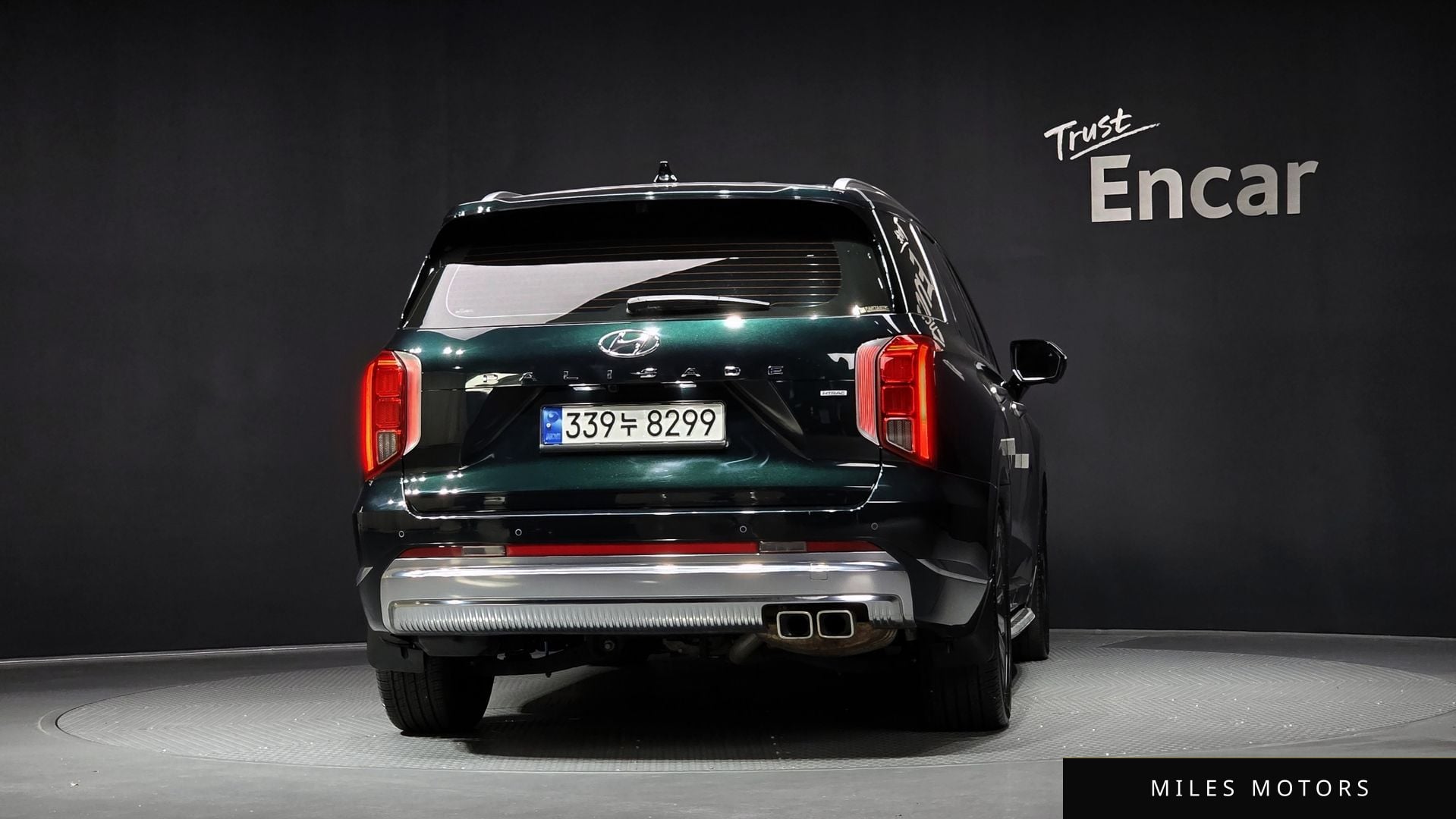 Hyundai Palisade 2024 — миниатюра 4