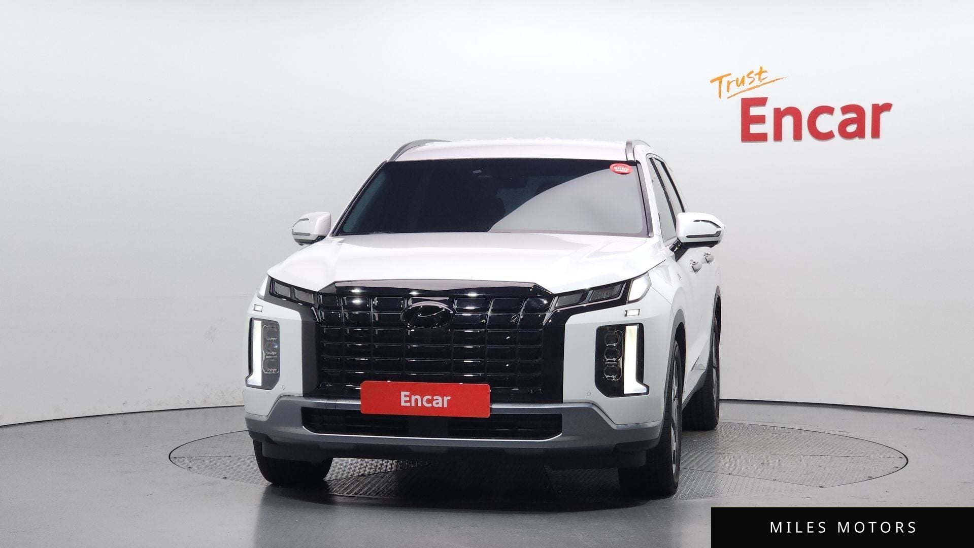 Hyundai Palisade 2024 — миниатюра 3