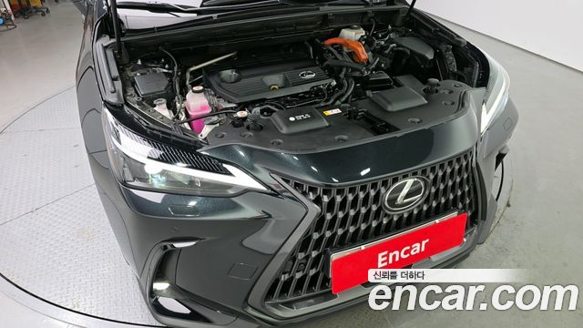 Лексус NX350h 2023 — миниатюра 6