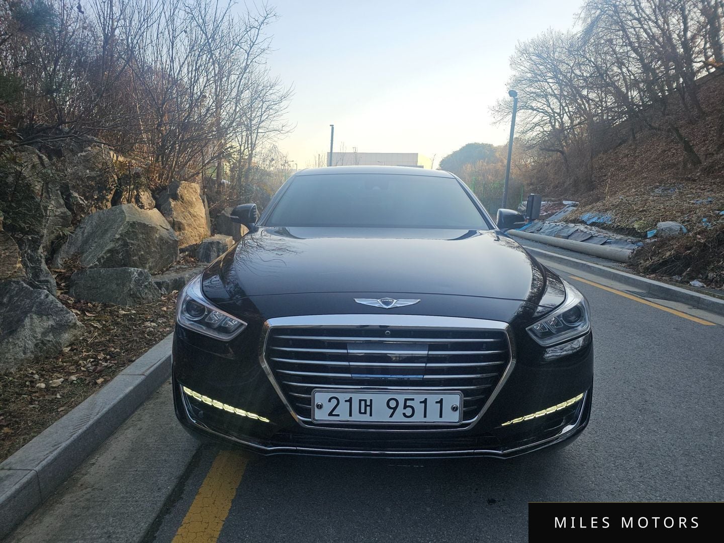 Genesis EQ900 2017 — миниатюра 2