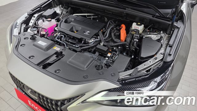Лексус NX350h 2025 — миниатюра 6
