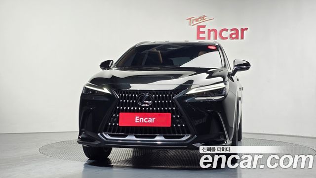 Лексус NX350h 2024 — миниатюра 3