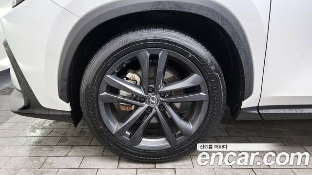 Лексус NX350h 2025 — миниатюра 5