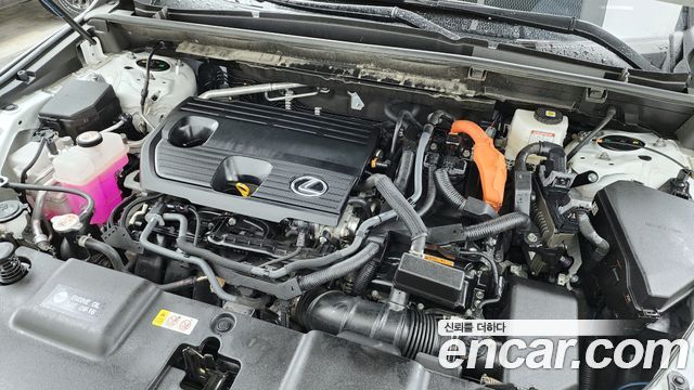 Лексус NX350h 2025 — миниатюра 6