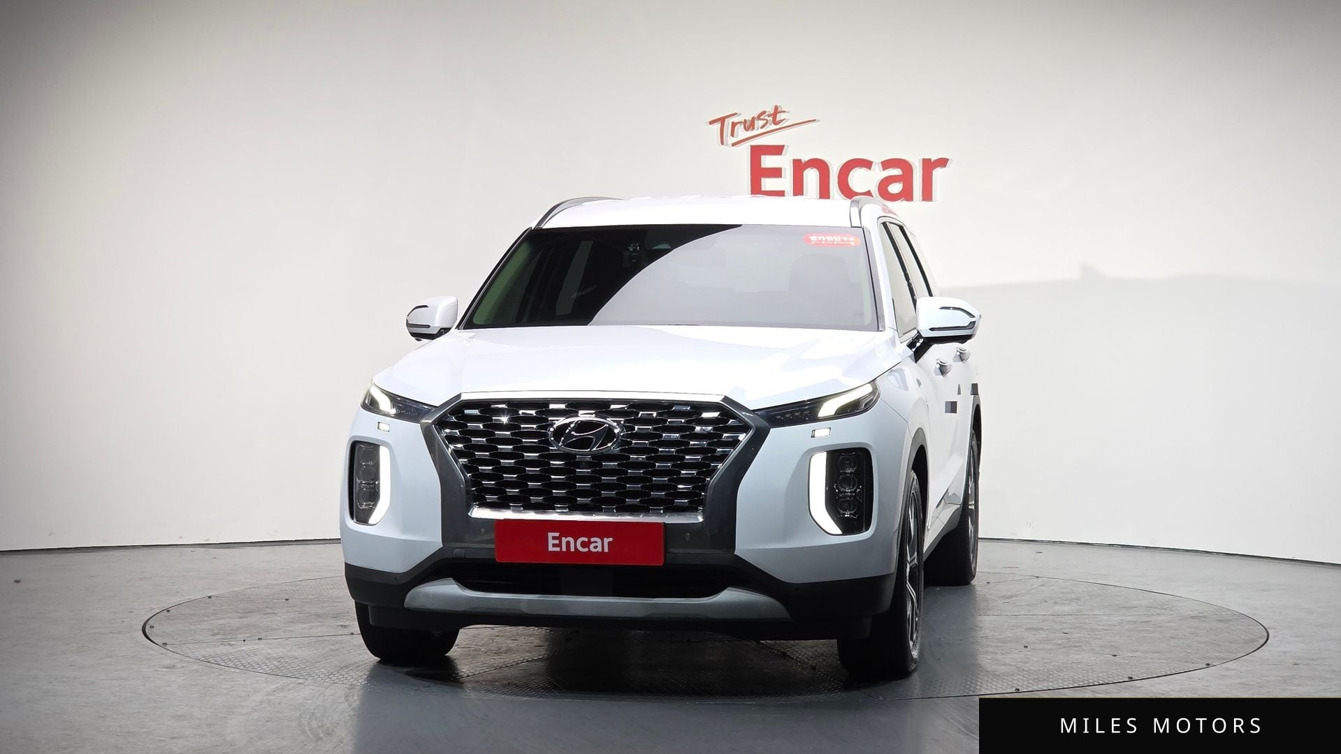 Hyundai Palisade 2019 — миниатюра 2