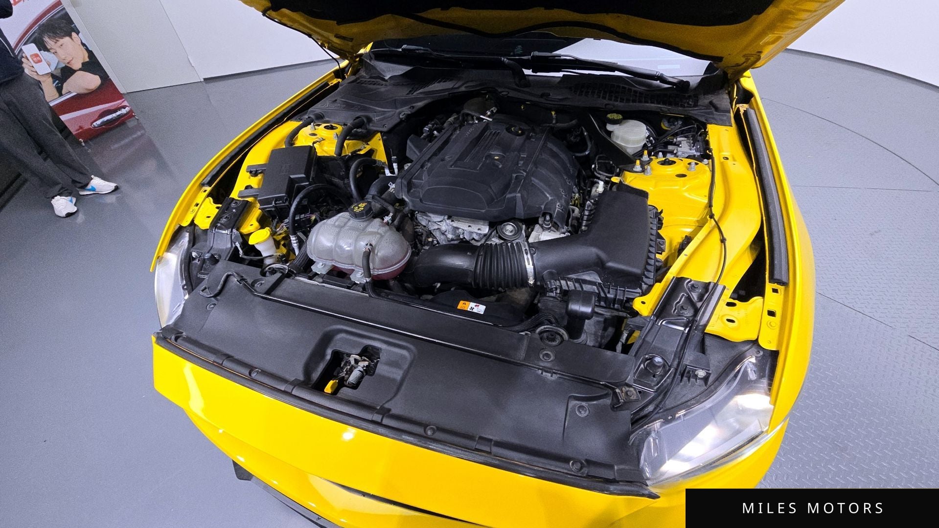 Ford Mustang 2017 — миниатюра 6