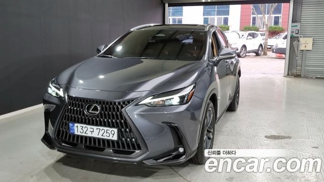 Лексус NX350h 2024 — миниатюра 2