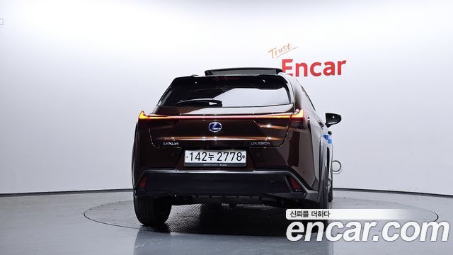Лексус UX250h 2019 — миниатюра 4