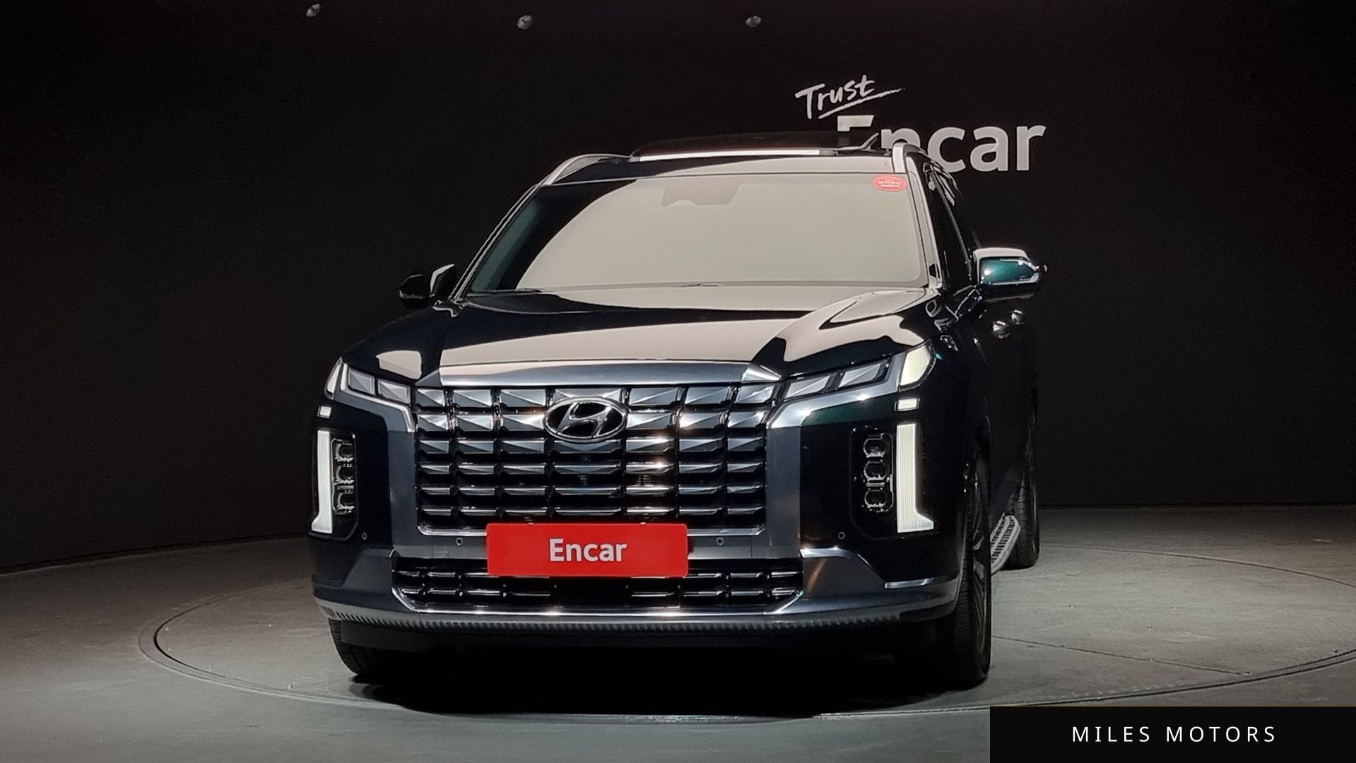 Hyundai Palisade 2023 — миниатюра 3