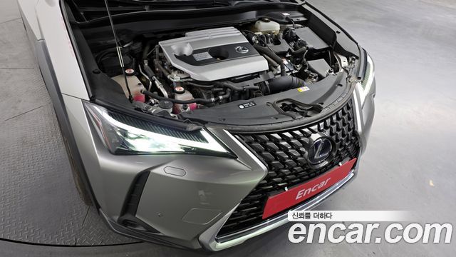Лексус UX250h 2019 — миниатюра 6