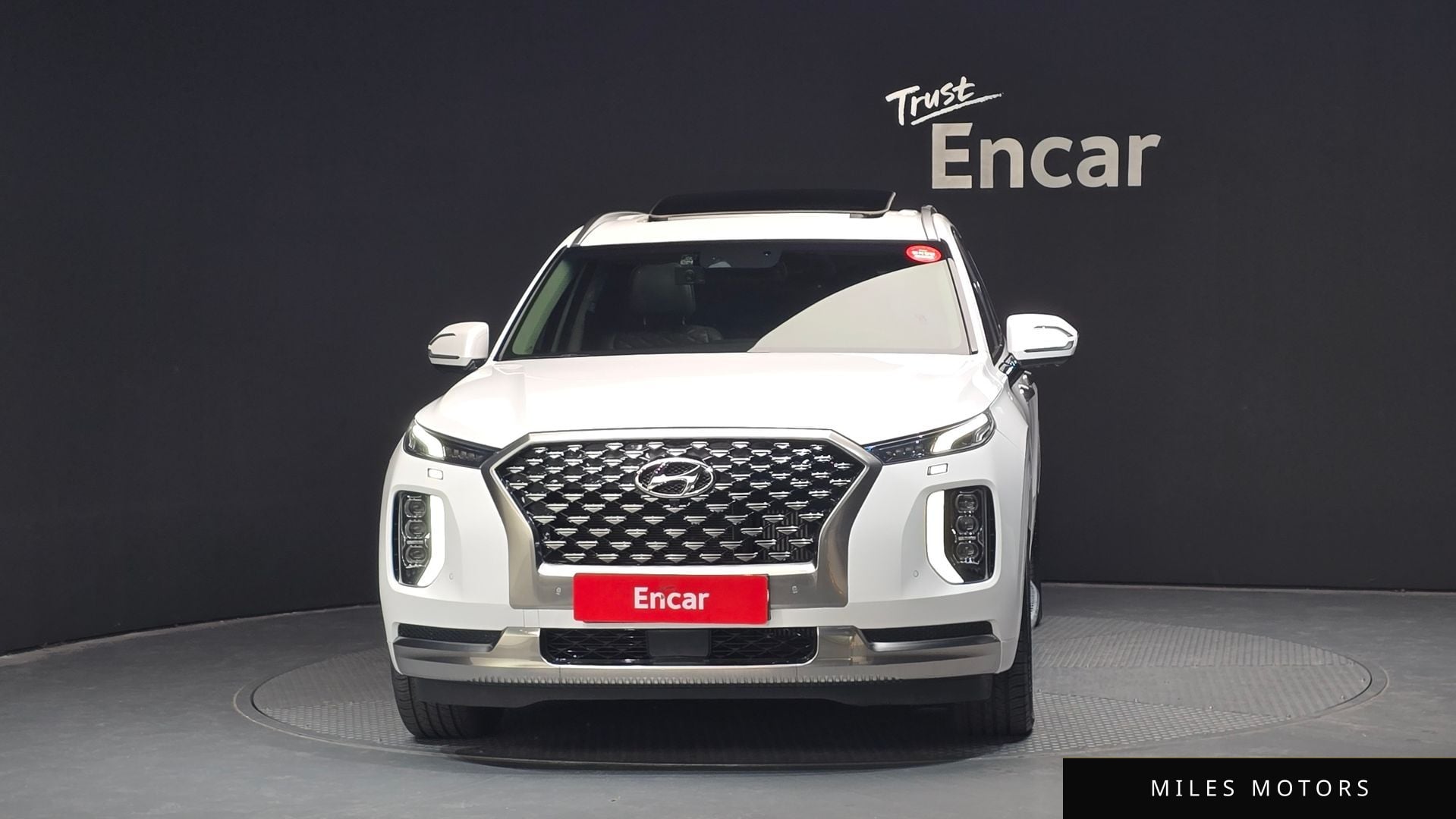 Hyundai Palisade 2022 — миниатюра 3