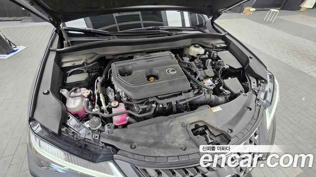 Лексус UX300h 2025 — миниатюра 6