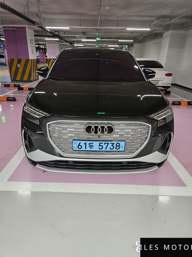 Audi Q4 e-tron 2022 — фото 1 из 12