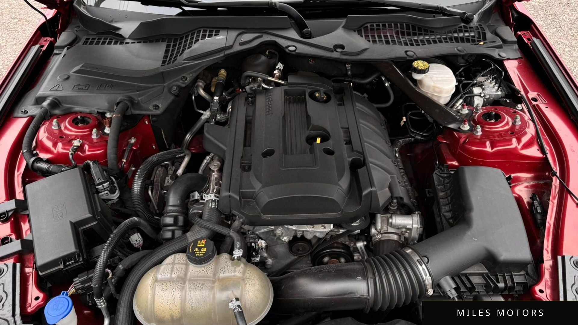 Ford Mustang 2021 — миниатюра 14