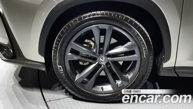 Лексус NX350h 2025 — миниатюра 5