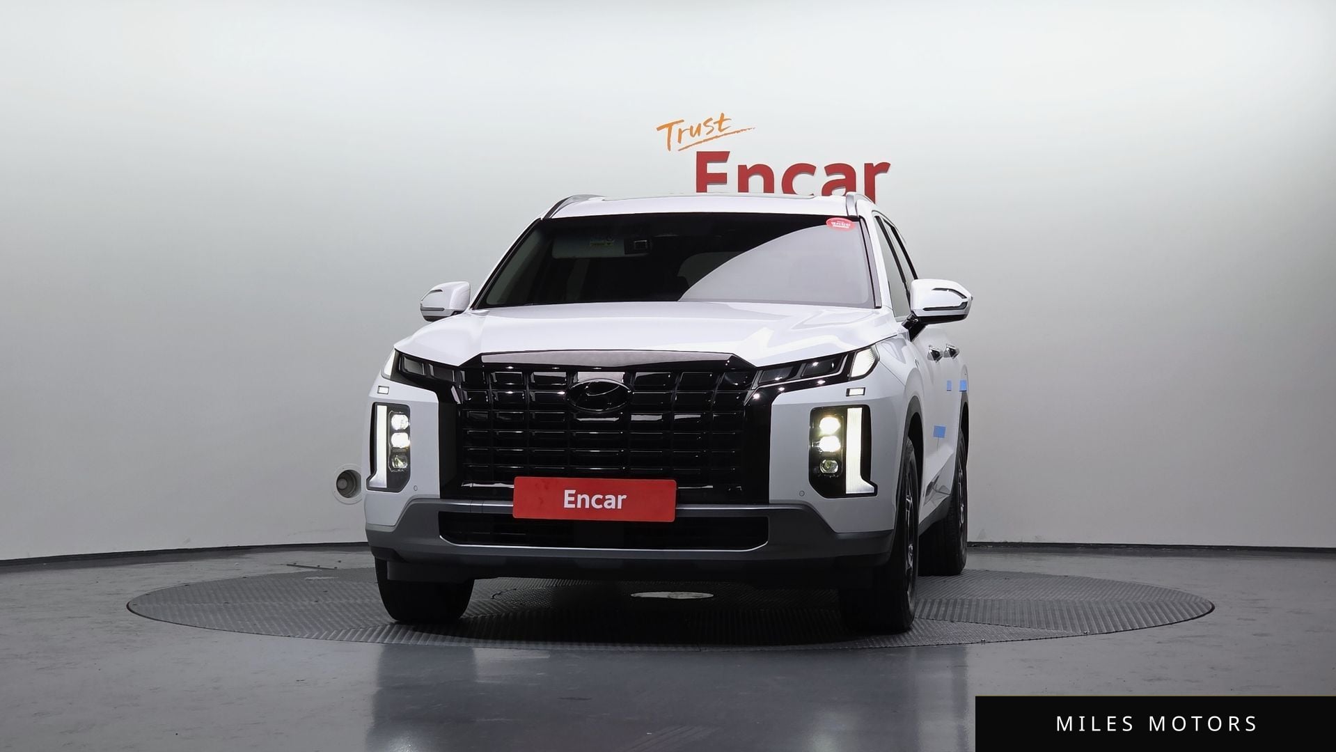 Hyundai Palisade 2023 — миниатюра 3
