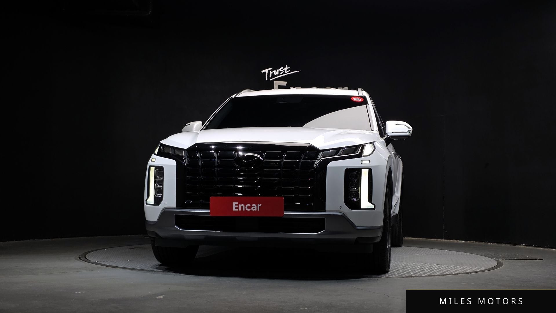 Hyundai Palisade 2023 — миниатюра 3
