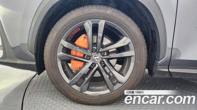 Лексус NX350h 2024 — миниатюра 5