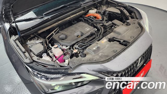 Лексус NX350h 2024 — миниатюра 6