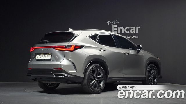 Лексус NX350h 2023 — миниатюра 2