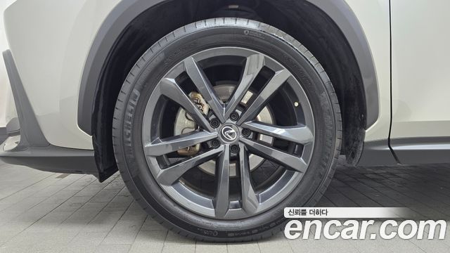 Лексус NX350h 2023 — миниатюра 5