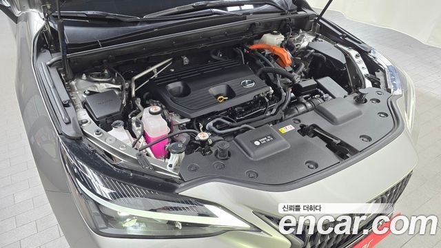 Лексус NX350h 2023 — миниатюра 6