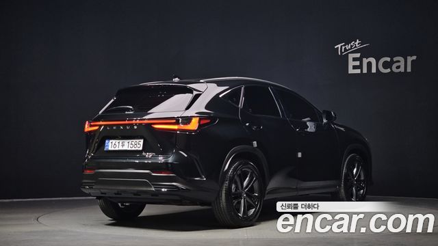 Лексус NX350h 2025 — миниатюра 2