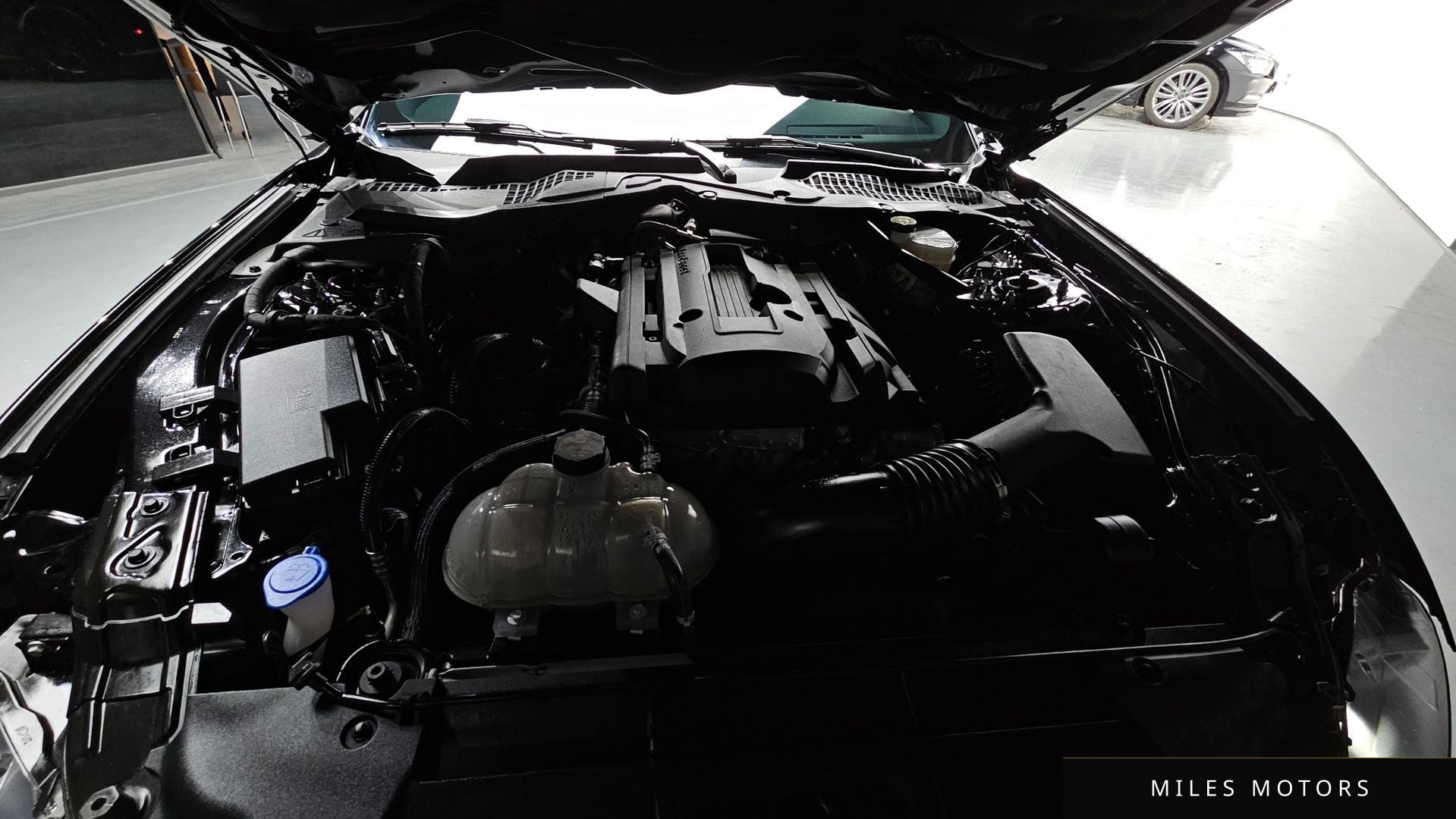 Ford 머스탱 2023 — миниатюра 6