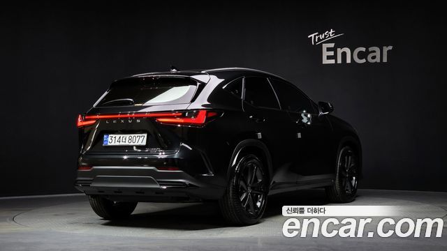 Лексус NX350h 2025 — миниатюра 2