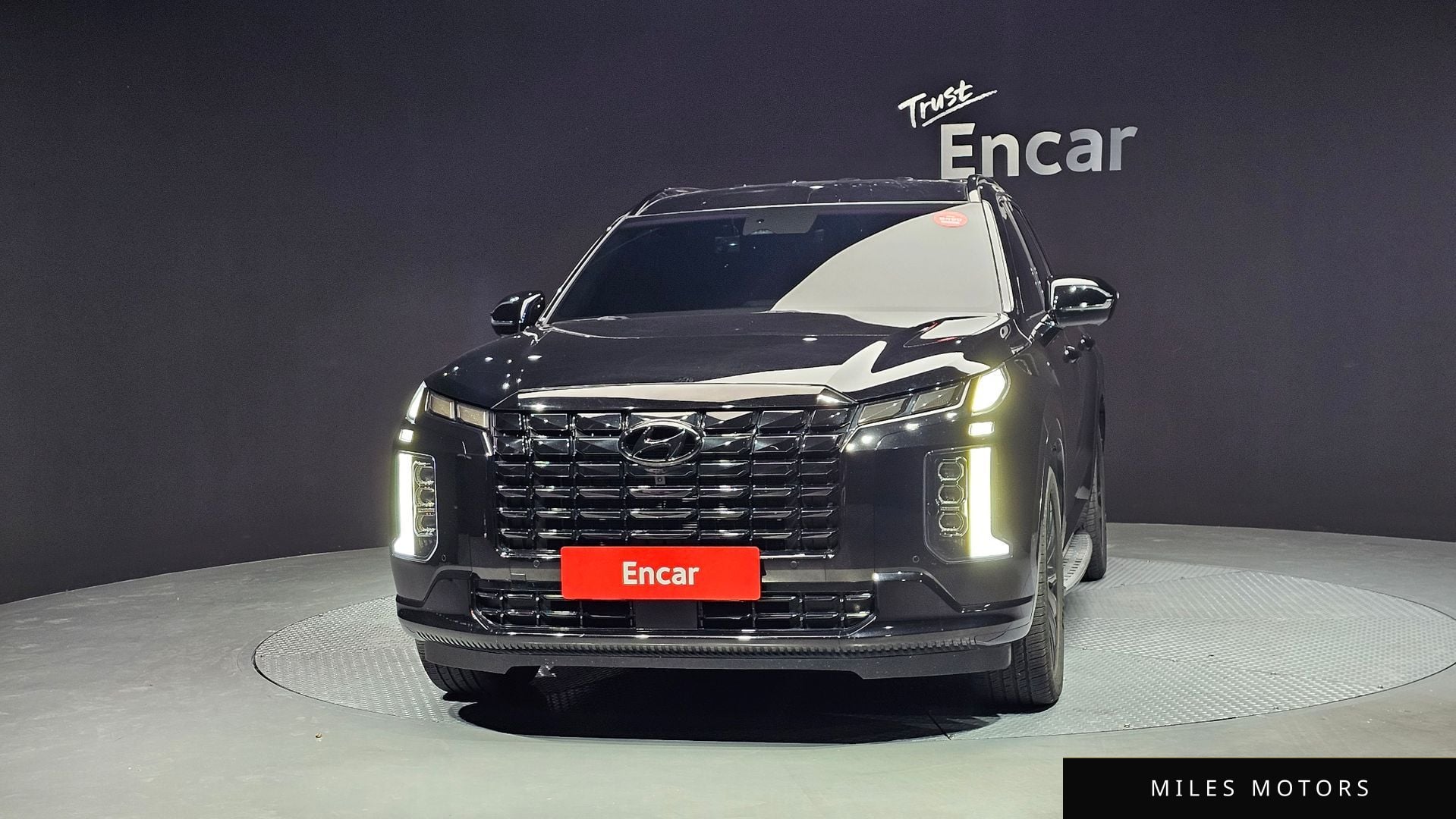 Hyundai Palisade 2024 — миниатюра 3