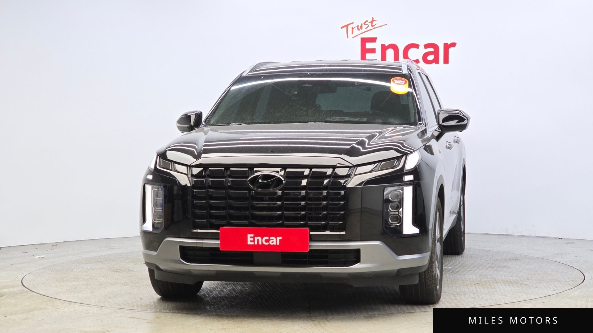 Hyundai Palisade 2024 — миниатюра 3