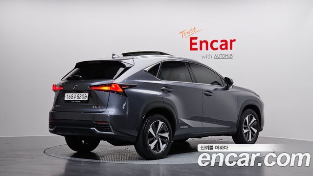 Лексус NX300h 2020 — миниатюра 2