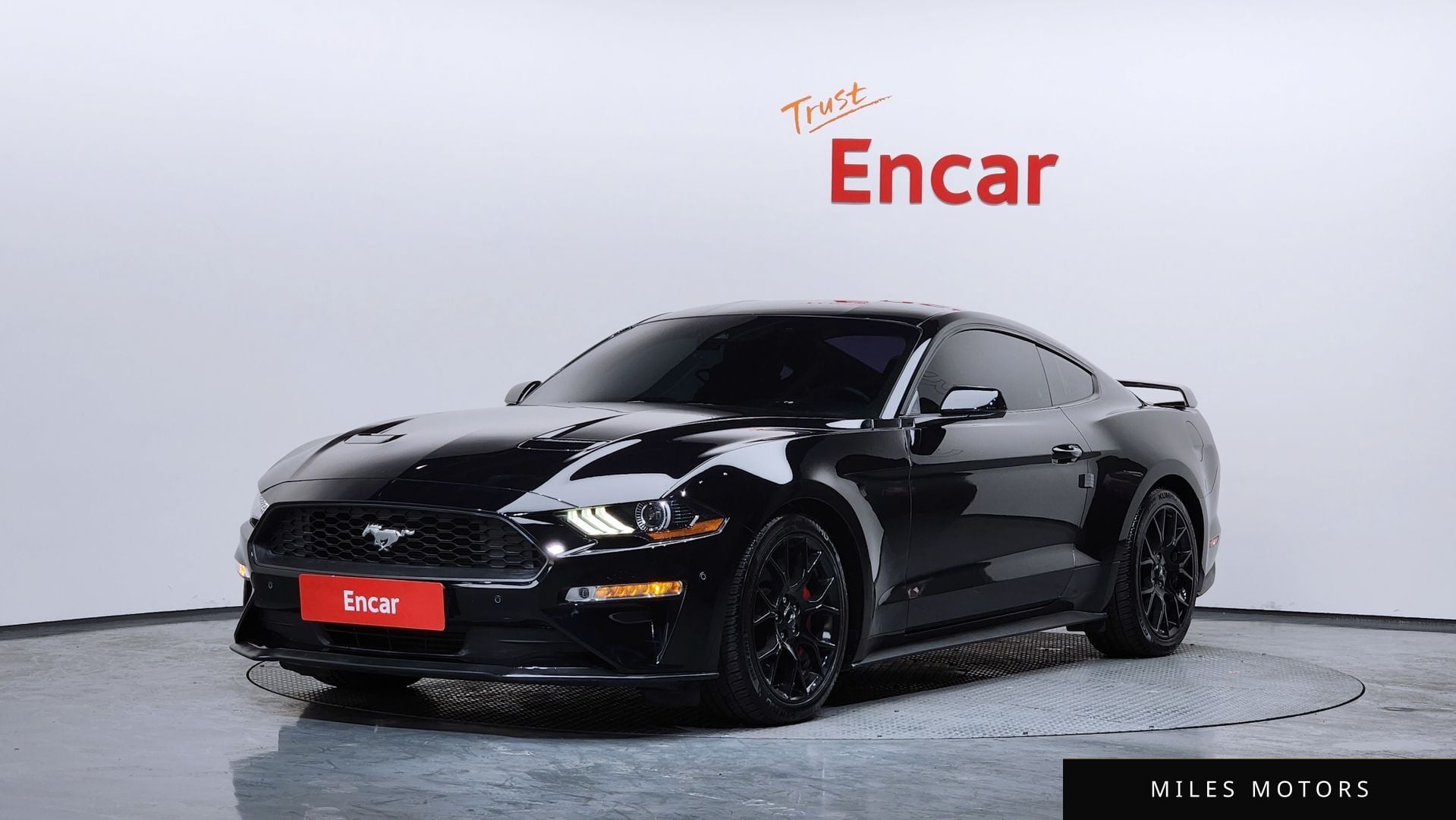 Ford 머스탱 2019